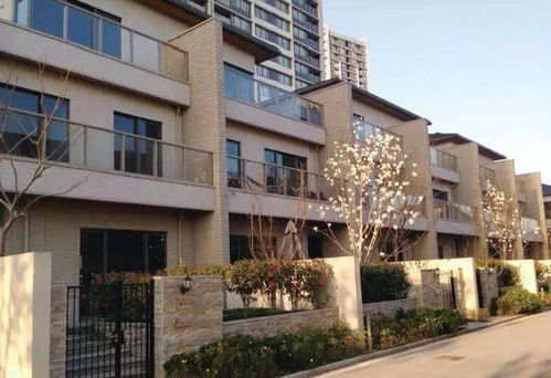 一體化裝配式鋼結構案例